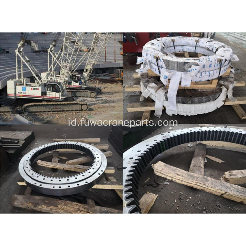 Fuwa Quy120 Crawler Crane Sleewing Ring